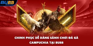 Chinh Phục Dễ Dàng Sảnh Chơi Đá Gà Campuchia Tại BU88