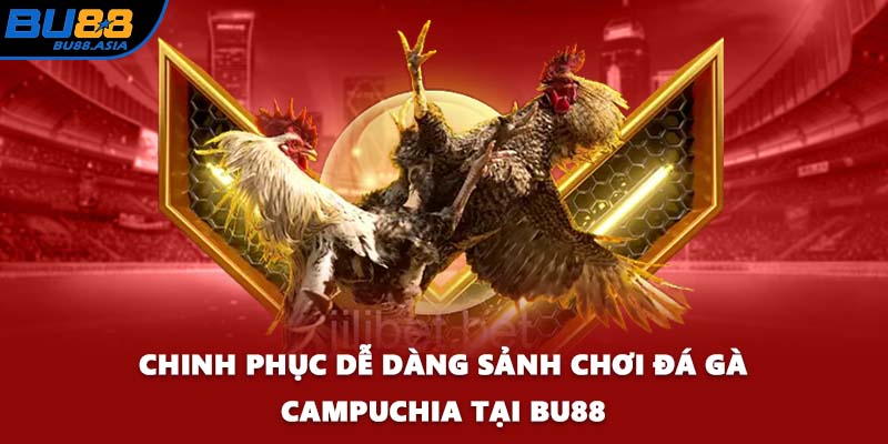 Chinh Phục Dễ Dàng Sảnh Chơi Đá Gà Campuchia Tại BU88